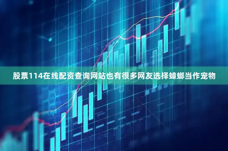 股票114在线配资查询网站也有很多网友选择蟑螂当作宠物