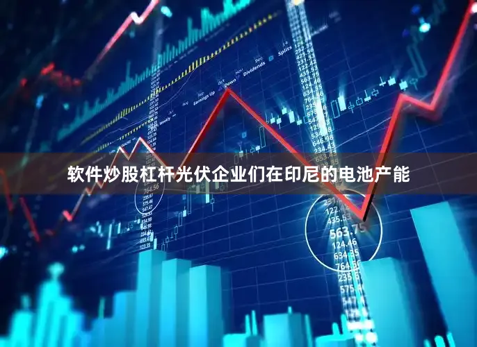 软件炒股杠杆光伏企业们在印尼的电池产能
