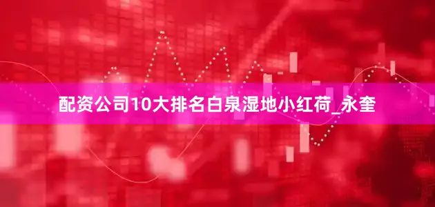 配资公司10大排名白泉湿地小红荷_永奎