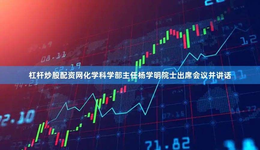 杠杆炒股配资网化学科学部主任杨学明院士出席会议并讲话