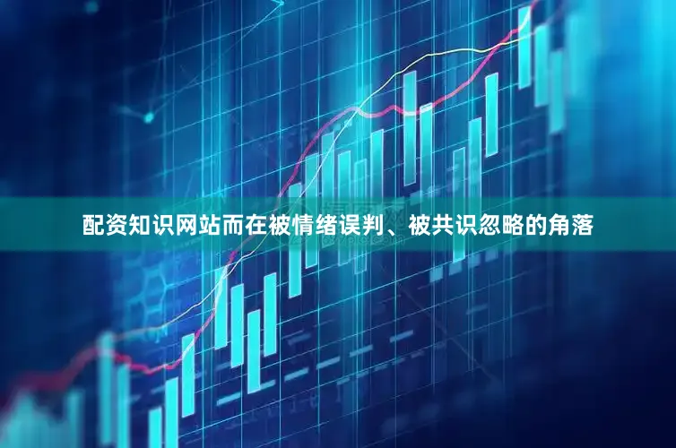 配资知识网站而在被情绪误判、被共识忽略的角落