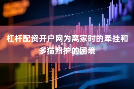 杠杆配资开户网为离家时的牵挂和多猫照护的困境