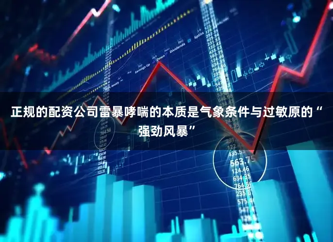 正规的配资公司雷暴哮喘的本质是气象条件与过敏原的“强劲风暴”
